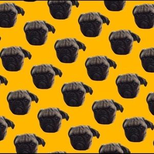 Meet your Posher, Alejandra